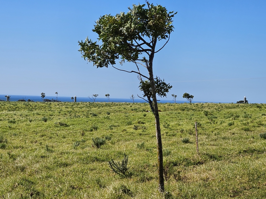 0 Bedroom Property for Sale in Twin Valley Eastern Cape